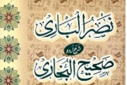 نصر الباری