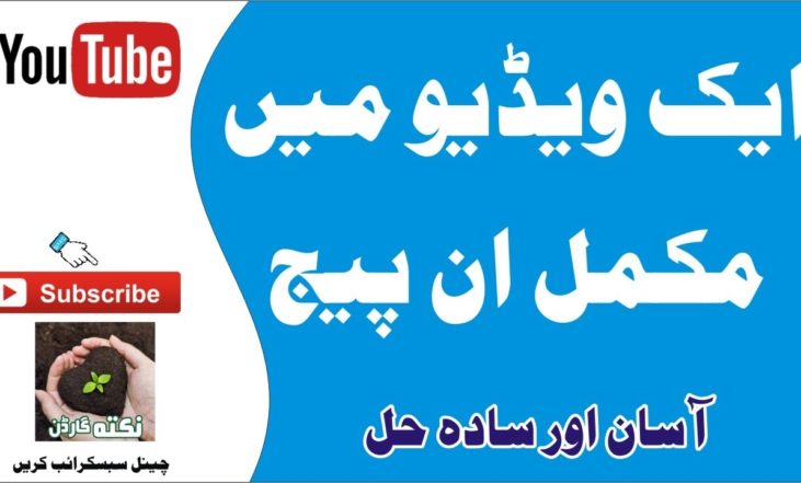 ان پیج مکمل کورس