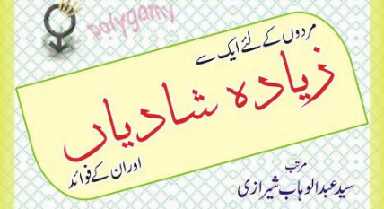 ایک سے زائد شادیاں