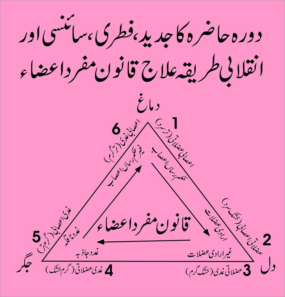 طب پاکستانی قانون مفرد اعضاء اور طب یونانی کی کتب