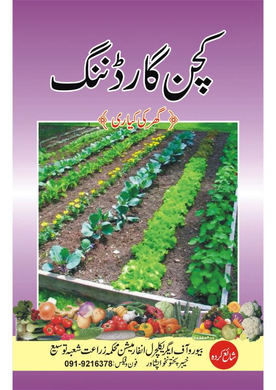کچن گارڈننگ گھر کی کیاری