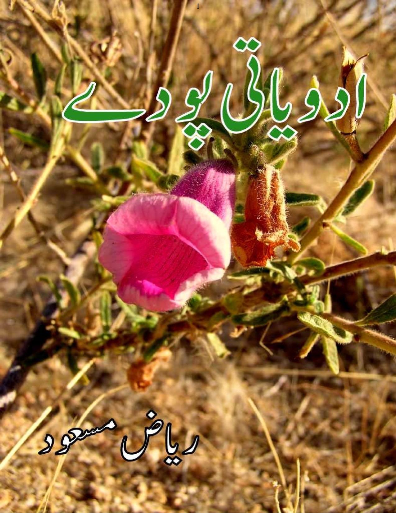 ادویاتی پودے