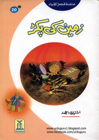 زمین کی پکڑ