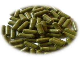 Moringa Capsules Price in Pakistan Online