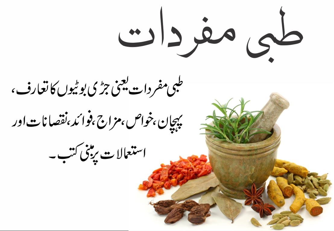 Tibbi Mufridat طبی مفردات